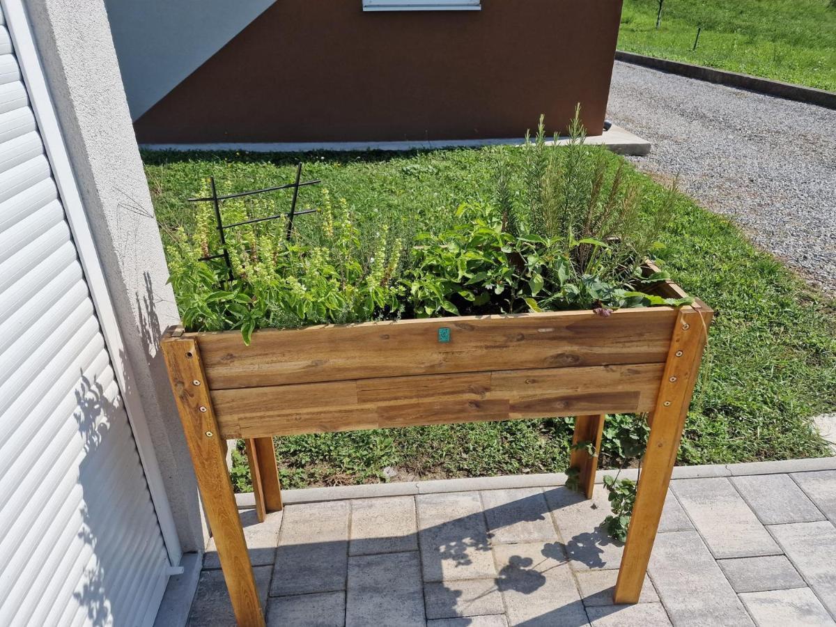 Vila Kuca Za Odmor Grasevina Kutjevo Exteriér fotografie